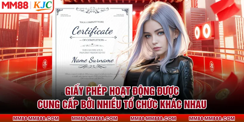 Giấy phép hoạt động được cung cấp bởi nhiều tổ chức khác nhau