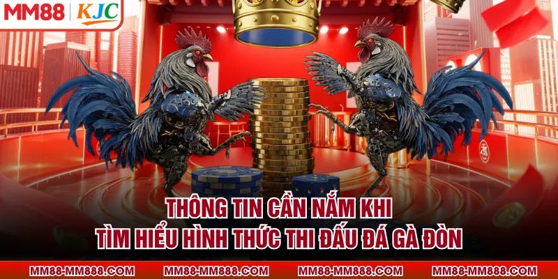 Các bước để được xem trực tiếp trận đấu gà đòn